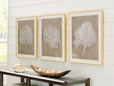 Coral Furniture - Ashley Furniture - Hendridge Wall Decor - Wall Art Set (3/CN) / Taupe/White - A8000486