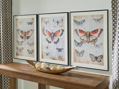 Coral Furniture - Ashley Furniture - Jossletts Wall Decor - Wall Art Set (3/CN) / Orange/Black/Ivory - A8000490