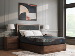 Coral Furniture - Ashley Furniture - Millennium 2.0 Foam 12 Inch Mattresses - King / Black - M31141