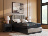 Coral Furniture - Ashley Furniture - Millennium 2.0 Hybrid 14 Inch Mattresses - Twin XL / Black - M31471