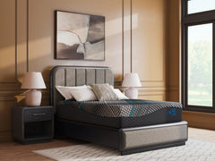 Coral Furniture - Ashley Furniture - Millennium 2.0 Hybrid 14 Inch Mattresses - Twin XL / Black - M31471