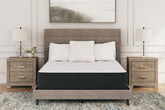 Coral Furniture - Ashley Furniture - Limited Edition Plush Mattresses - Queen / White - M41131