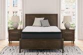 Coral Furniture - Ashley Furniture - Limited Edition PT Mattresses - Full / White - M41221