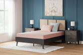 Coral Furniture - Ashley Furniture - iKidz Coral Mattresses - Twin and Pillow 2/CN / Coral - M43111