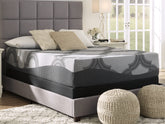 Coral Furniture - Ashley Furniture - 1100 Series Mattresses - Twin XL / Gray - M52671