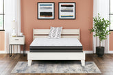 Coral Furniture - Ashley Furniture - 10 Inch Pocketed Hybrid Mattresses - Queen / White - M58931