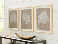 Coral Furniture - Ashley Furniture - Hendridge Wall Decor - Wall Art Set (3/CN) / Taupe/White - A8000486