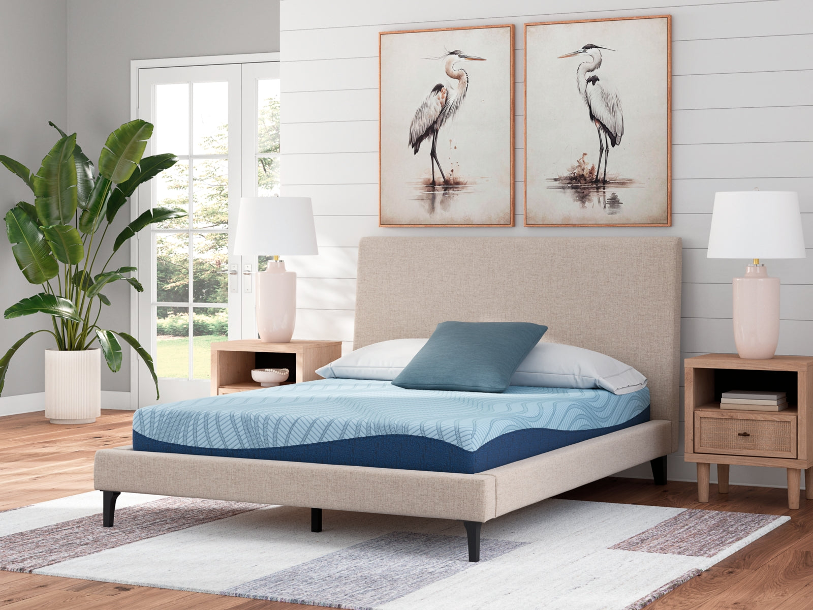 Coral Furniture - Ashley Furniture - Peak 2.0 8 Memory Foam Mattresses - California King / White - M20451