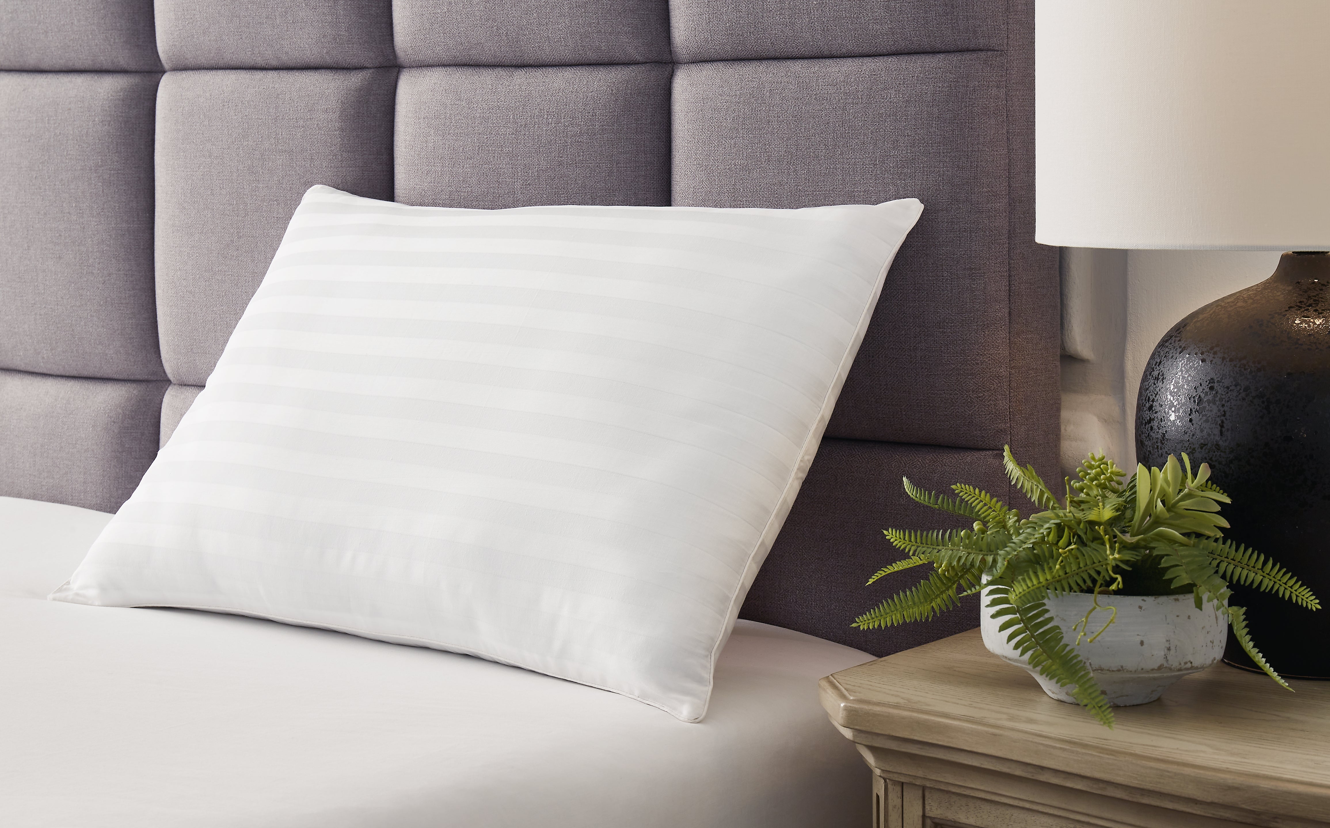Coral Furniture - Ashley Furniture - Zephyr 2.0 Pillows - Cotton Pillow (Set of 2) / White - M52110P