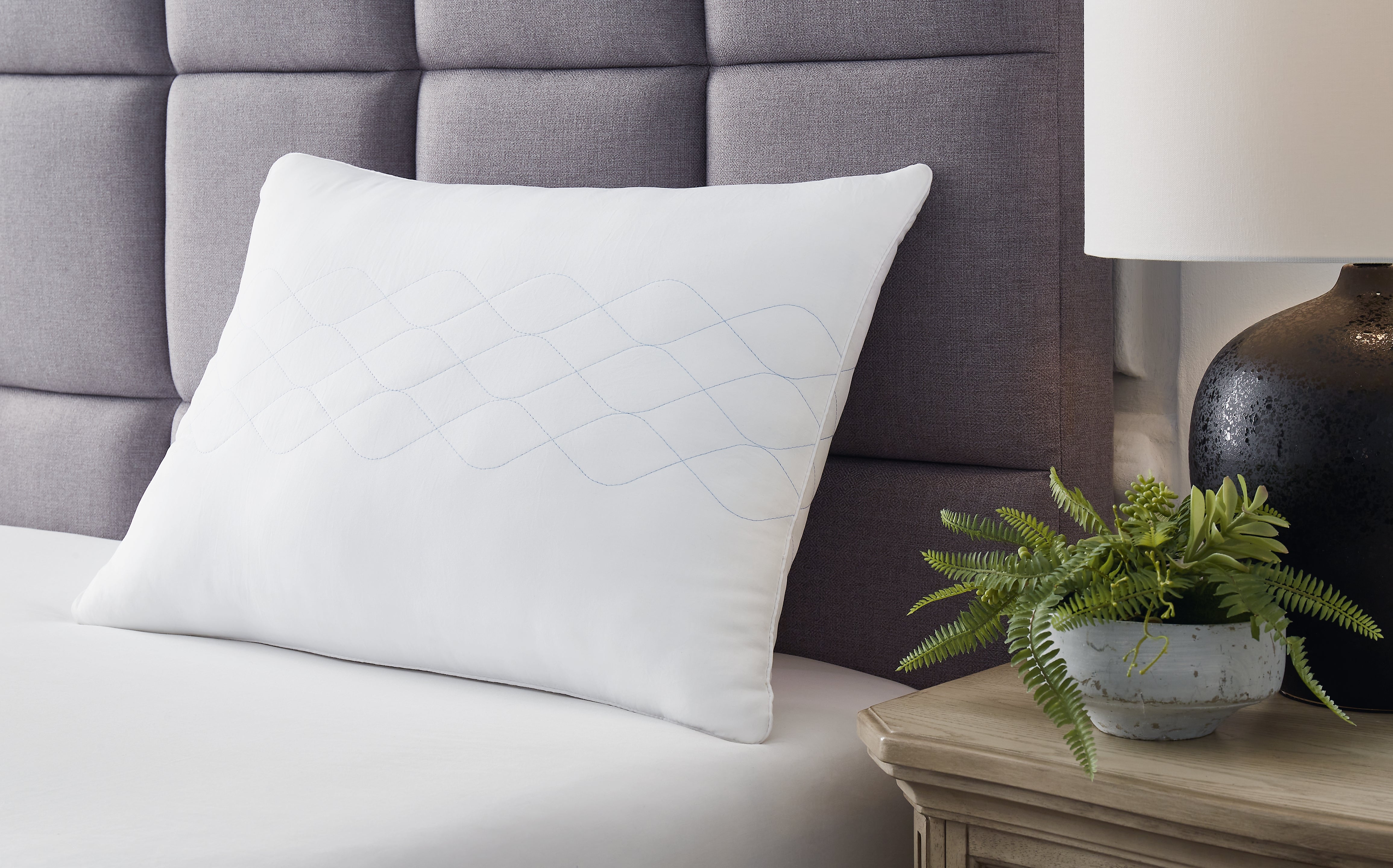 Coral Furniture - Ashley Furniture - Zephyr 2.0 Pillows - Huggable Comfort Pillow / White - M52111P